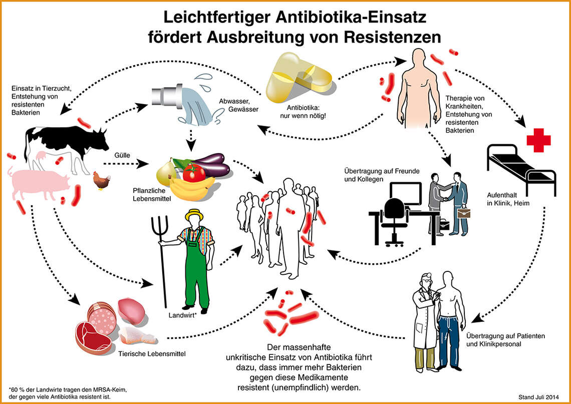 Leichtfertiger Antibiotika-Einsatz fördert die Ausbreitung von Resistenzen